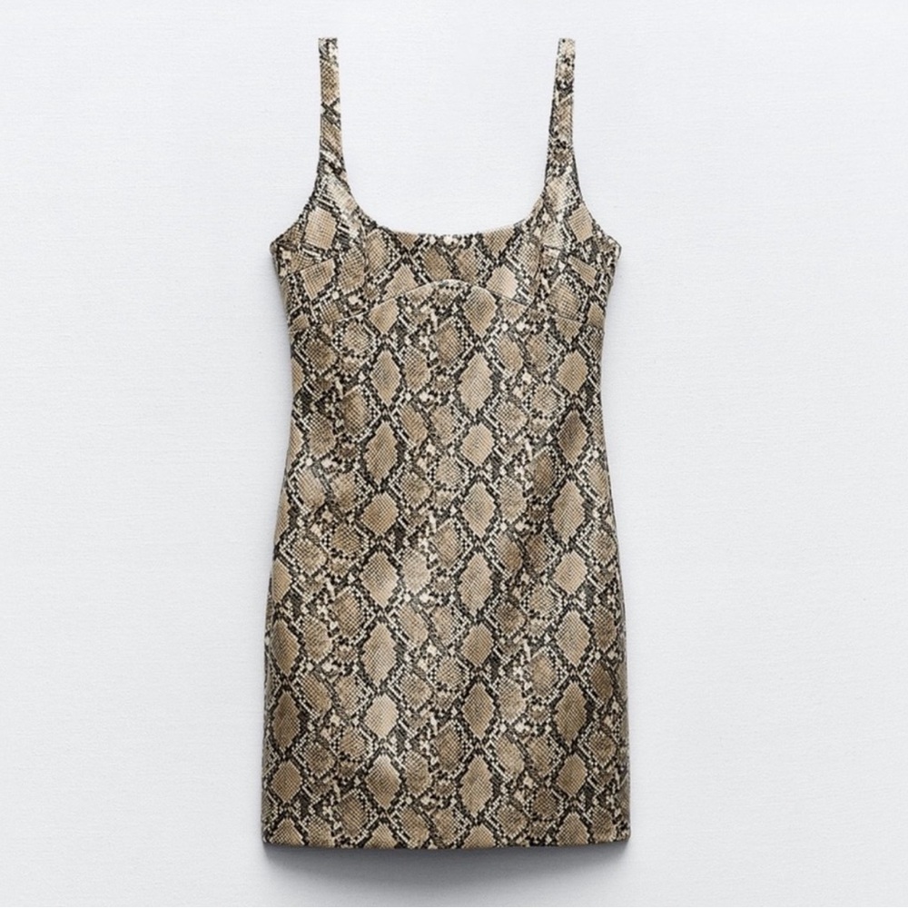 Zara Brown and Tan Snake Print Mini Dress